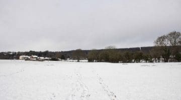 ! 2 Reduced DSC_9141 Across Snow's field E