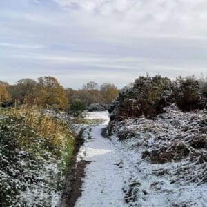 Snow lying on the Serpent Way as it passes through Petersfield Heath.