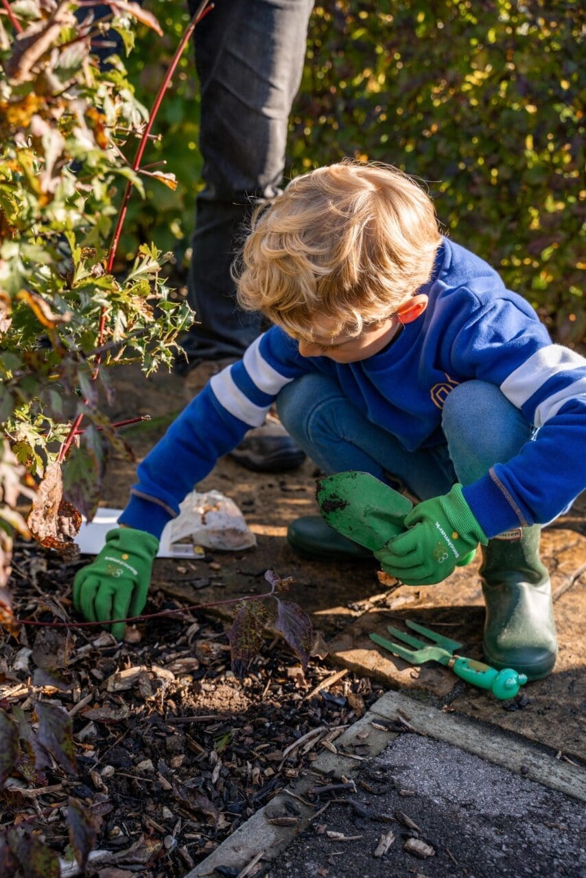 A young volunteer carefully plants a bulb