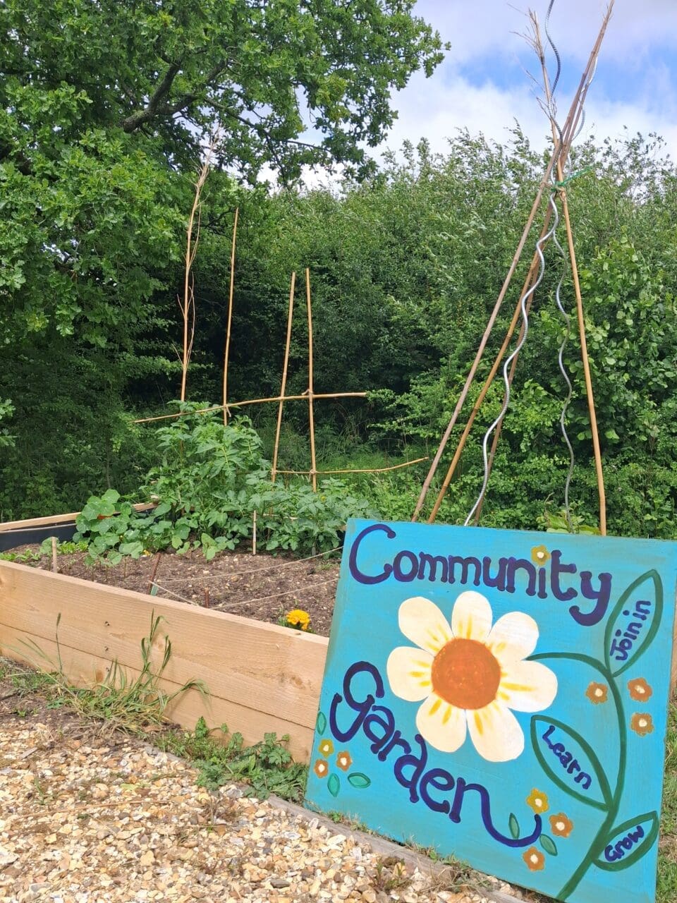 The community raised vegetable beds